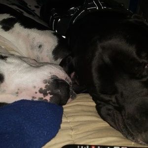 Meet your Posher, Trinity